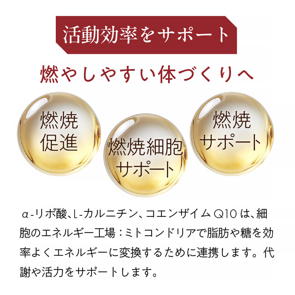 もっとお得に。キレイをお届け。Btoku 【ビトク】